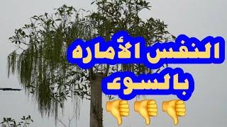 النفس الأماره بالسوء  