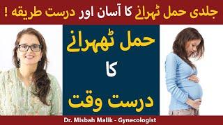 Jaldi Hamal Tehrane Ka Asan Aur Sahi Tarika | Best Time To Conceive In Urdu | Hamla Hone Ka Tarik