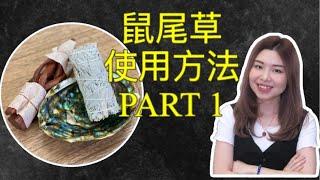 鼠尾草使用方法｜如何淨化自身及空間氣場(PART 1)