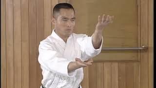 Yoshinkan Aikido - Kihon Dosa