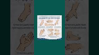 Биологически активные точки на теле #точки #здоровье  #полезнознать #полезныесоветы