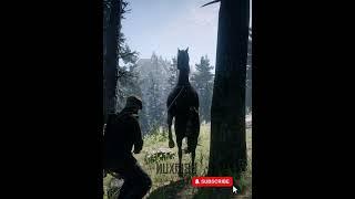 LEGENDARY Horse Location In RDR2 #shorts #rdr2 #funny