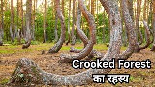 The Mystery of the Crooked Forest (HINDI)