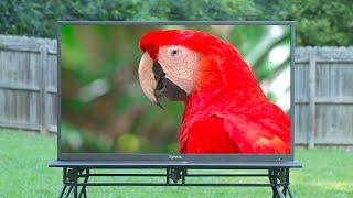 Sylvox 4K TV 43 inch Review!