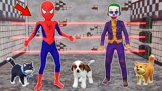 team spider man vs bad guy joker ► kid spider-man kid joker Rescue small dogs - funny animation