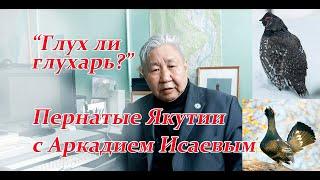 От чего глух глухарь? Рассказы якутского орнитолога