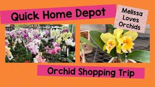 Hunting for Orchids at Home Depot - Big Box Store Shopping for Plants 🪴