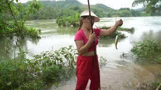 Girl Fishing | Hunting for Fish in the Stream | Best Fishing Videos