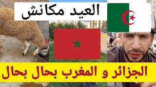 الجزائر و المغرب الجو ديال عيد الأضحى مكانش 