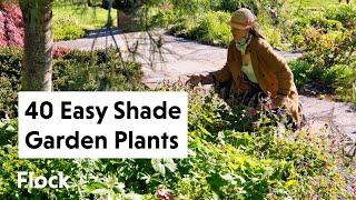 40 Plants for a DIVERSE, LOW MAINTENANCE SHADE GARDEN— Ep. 257