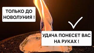 Только до новолуния  Удача начнет нести вас на руках, дела будут складыватся в вашу пользу