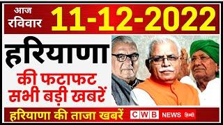 11 December Haryana News | Haryana Hindi News 11 | Haryana  News | Haryana Live news | cwb news