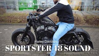 Beautiful Sportster 48 1200 Harley Davidson SOUND CHECK!