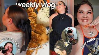 WEEKLY VLOG | meet our kittens + sunday reset + cooking at home + reorganizing the apartment 