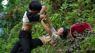 FULL VIDEO: bad guys attack. harvest. Forest products for farm construction \ LÝ SÙNG