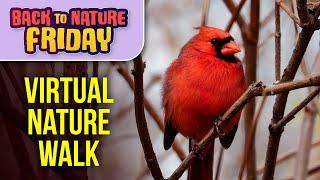 Virtual Nature Walk | Back to Nature Friday