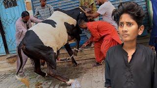 Bakra Eid 1st Day VlogCow Qurbani