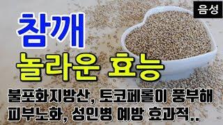 [참깨 효능] 건강한 생활을 위한 참깨 섭취의 중요성!! 참깨 섭취로 얻는 놀라운 효과 