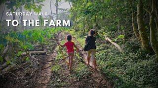 NO CAR? NO PROBLEM | GETTING TARO FOR SUNDAY WITH THE KIDS | SAMOANFARMER