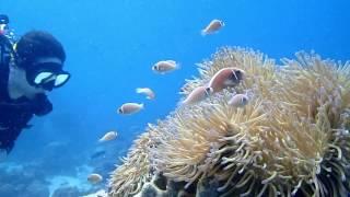 Koh Samui Thailand Scuba Diving 2017