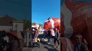 sapi jumbo wariso punya Irfan Hakim nih kayaknya  #karnavalkreatif #karnavalterbaru #hutri79