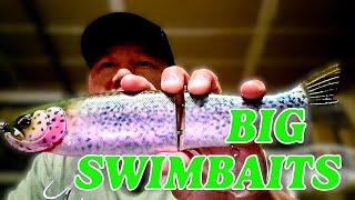 BIG Swimbaits and Glide Baits for Bass in Winter (Short Version)