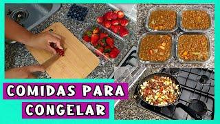 4 COMIDAS PARA CONGELAR/LOS ROLES DE EDY