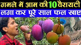 गमले में आम के 10 वैरायटी लगा कर पूरे साल आम खाए | Best Variety Mango Plant | Mango Tree In Pot