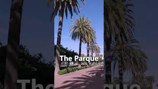 Spending 24 Hours in Casablanca's Hidden Gem: Parc de la Ligue Arabe - Can't Believe What We Found!