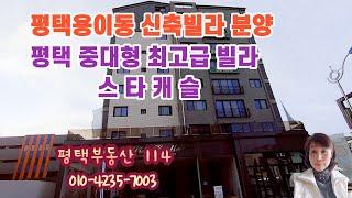 평택부동산114