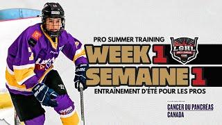 Sem 1 - Week 1: LSHL Women/Femme - Living Sisu Hockey Charitable Event (PWHL, NHL)