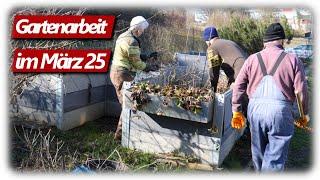 Gardening March | Preparing raised beds & berry bushes, pruning lavender and more