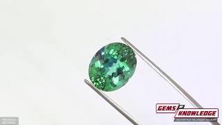 Amazing Collection of Fancy Colored Gemstones