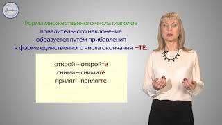 Русский язык 6 класс. Повелительное наклонение глагола