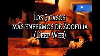 Los 5 casos más enfermos de Zoofilia (Deep Web)