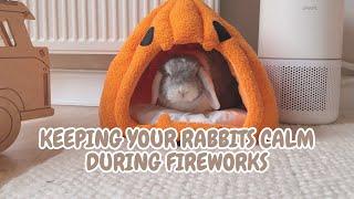 KEEPING YOUR RABBITS CALM DURING FIREWORKS | BUNNY CARE | BONFIRE NIGHT