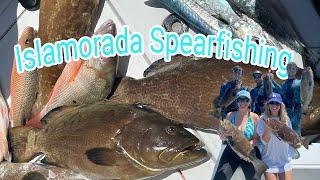 Upper Keys and South Florida Spearfishing: Grouper and Snapper Tips and Tricks!