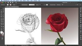 Create a Realistic Flower in Illustrator with the Gradient Mesh Tool [SPEED ART DRAWING]