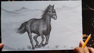 How to draw a Horse with pencil | step by step | MitGreen TV