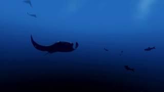 Virtual Reality at BIG - Every Wednesday and Friday afternoon