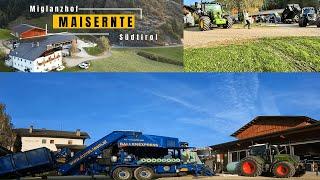 Maisernte 23 in Rundballen | Südtirol | Gumpi mit Göweil Vario Master| MF Kemper| JD| Valtra| Fendt