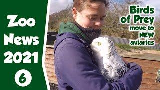 Zoo News Update - Birds of Prey Move into their New Aviaries