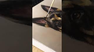 Let’s paint a dog ‍ #artist #oilpainter #dogportrait