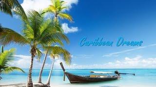   Best Tropical, Caribbean, and Steel Drum Music #steeldrums