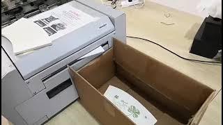 paper  cup fan printing machine