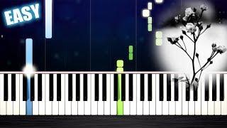 Mariage d'Amour (Spring Waltz) - EASY Piano Tutorial by PlutaX