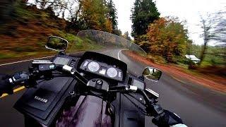 Rabbits, Dirty Bikes & A Shout Out! - Yamaha XVZ1200 Venture! | MotoVlog 13