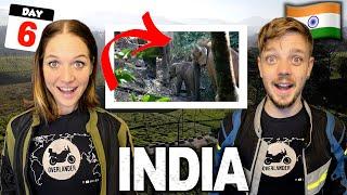6 Exploring the Kerala Rainforest on Hero Xpulse  (Valparai to Athirapilly)