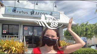 TV88 Touring the Keys at Brutus Seafood Market in Marathon, Florida