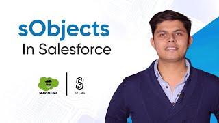 sObjects in Salesforce Apex | Premium Salesforce Development Course 2024